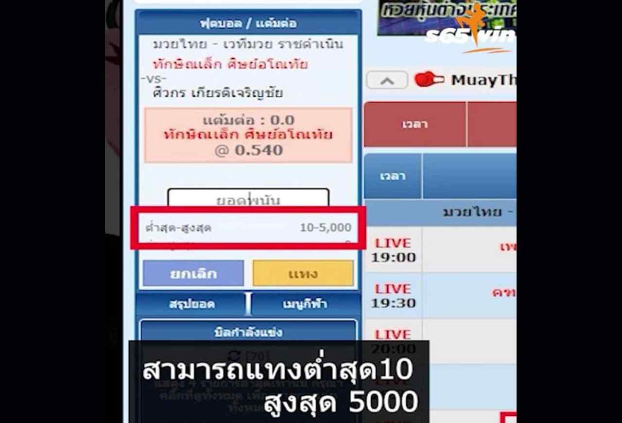 มวยไทยออนไลน์ 31